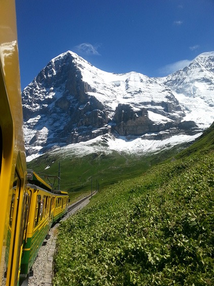 Treinreis met de Jungfrau Bahn van station Kleine Scheidegg naar Grindelwald met uitzicht op de Jungfrau en de Eiger.