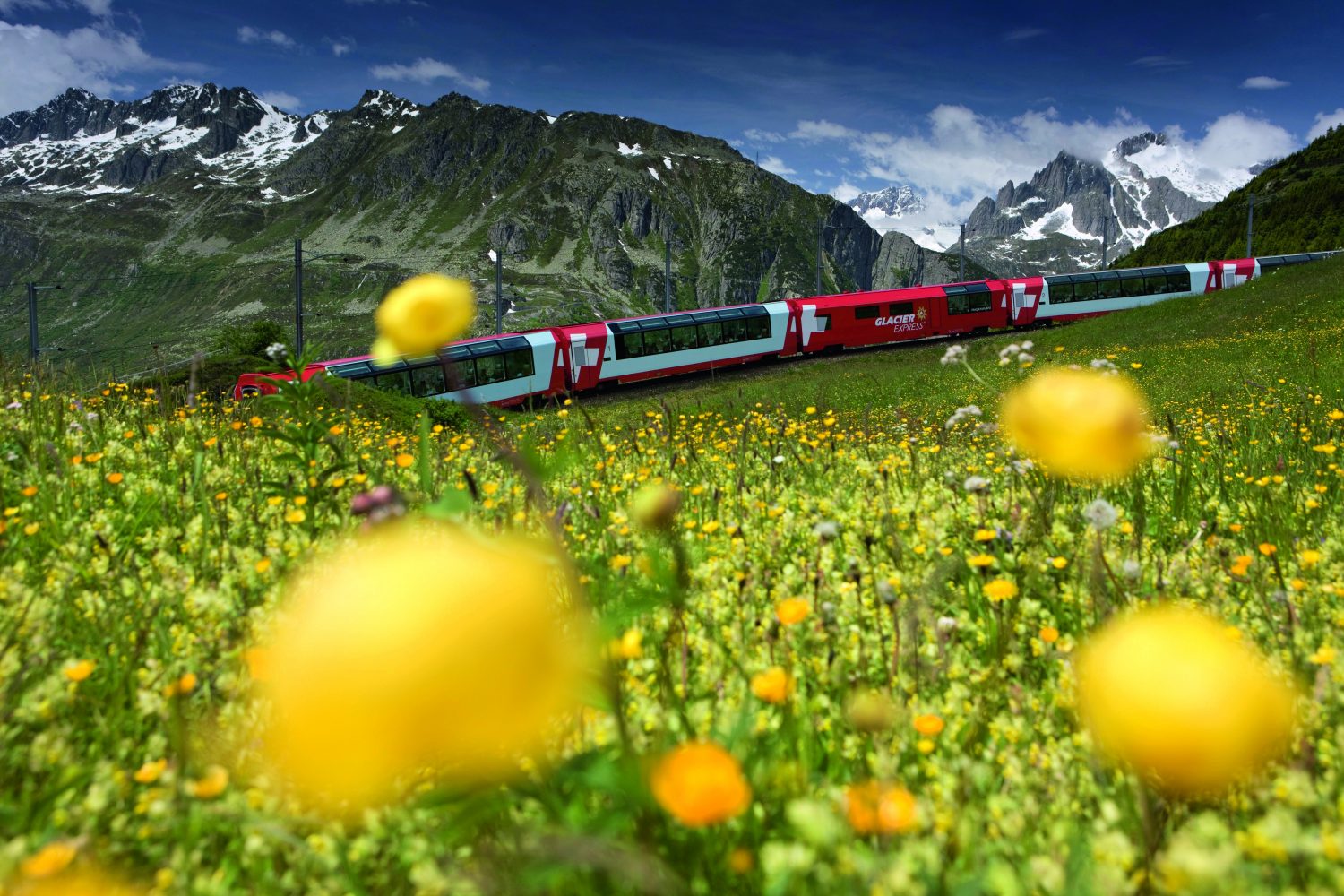 Glacier Express tussen Furka en Oberalp met bloemen