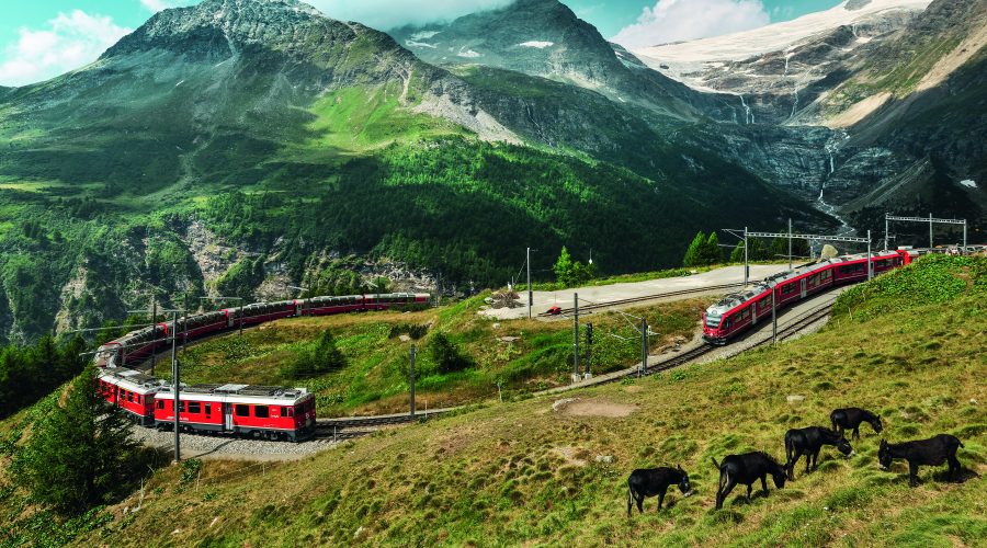 Bernina treinen bij station Alp Gruem