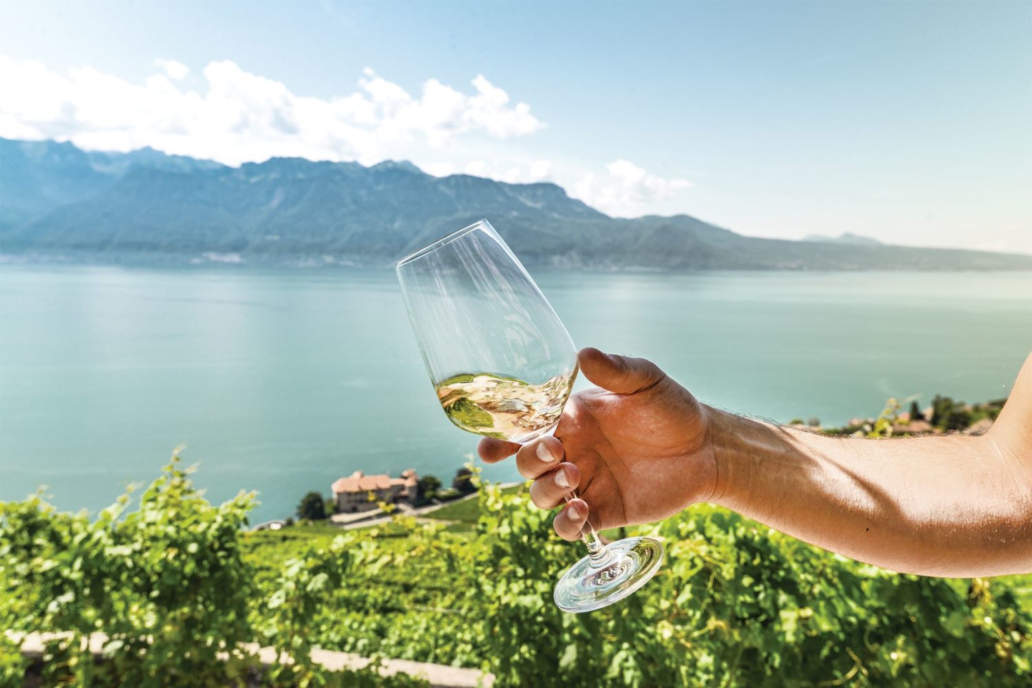 Wijn in Lavaux_Copyright Maude Rion